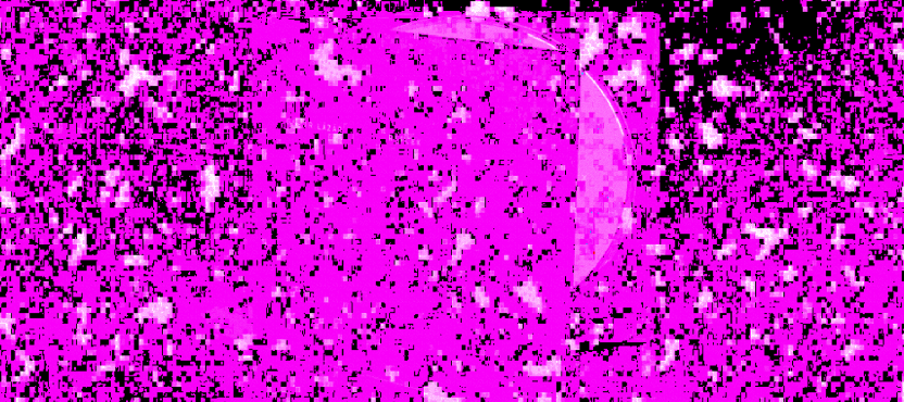 Gábor Lázár - reflex